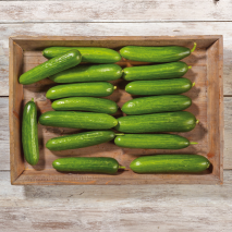Bayerische Mini Gurken