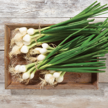 Lauchzwiebeln