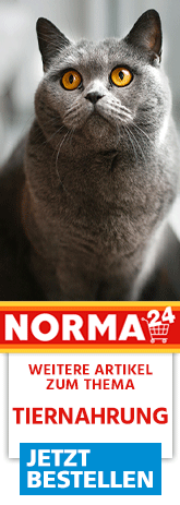Weitere Artikel zum Thema - Jetzt Bestellen auf Norma24.de