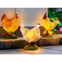 LED-Solar-Huhn