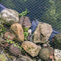 Teich- und Laubschutznetz