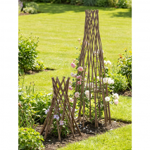 Produktbild »Weiden-Rankpyramide«