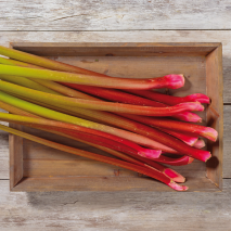 Rheinländer Rhabarber