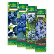 Blaubeeren-Sortiment