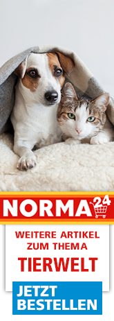 Weitere Artikel zum Thema - Jetzt Bestellen auf Norma24.de