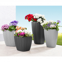 Pflanztopf oder -säule Lacie