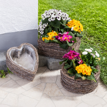 Produktbild »Weiden-Pflanzgefäß«