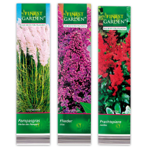 Produktbild »Kübelpflanzen Besonderheit«