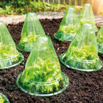 Produktbild »XXL-Pflanzhut 15er-Set«