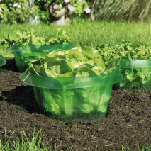 XXL-Schneckenschutzring 10er-Set