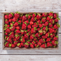 Bayerische Erdbeeren