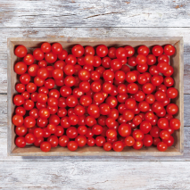 Bayerische Naschtomaten