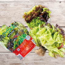 Bayerische Trio- Salate mit Wurzel