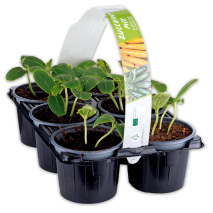 Produktbild »Zucchini-/ Gurken-Mix«