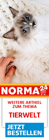 Weitere Artikel zum Thema - Jetzt Bestellen auf Norma24.de