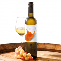 Produktbild »2025 Weingut Fischer Welschriesling«