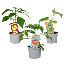 Produktbild »Kindergemüse 'Hits für Kids'«