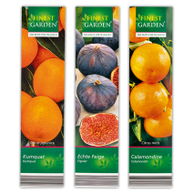 Produktbild »Mediterrane Pflanzen«