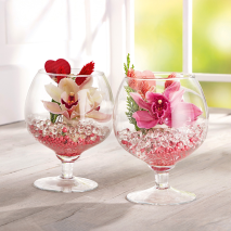 Produktbild »Cymbidium«