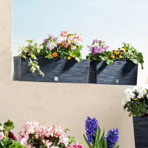 Produktbild »Blumenkasten eckig«