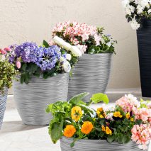 Produktbild »Blumentopf«