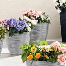 Produktbild »Blumentopf«