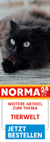 Weitere Artikel zum Thema - Jetzt Bestellen auf Norma24.de