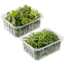 Produktbild »Bio-Salat sortiert«