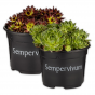 Produktbild-Variante 1