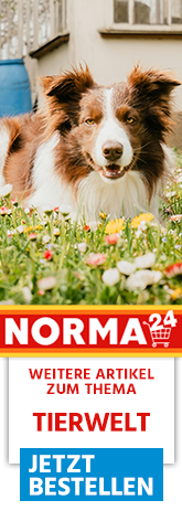 Weitere Artikel zum Thema - Jetzt Bestellen auf Norma24.de