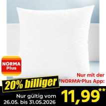 Nur mit der NORMA Plus App günstiger: »Kopfkissen 'Daunen-Traum'«