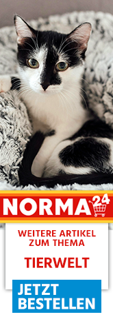 Weitere Artikel zum Thema - Jetzt Bestellen auf Norma24.de