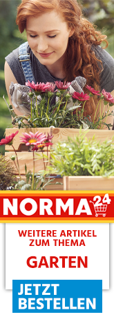 Weitere Artikel zum Thema - Jetzt Bestellen auf Norma24.de