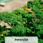Produktbild-Variante 8