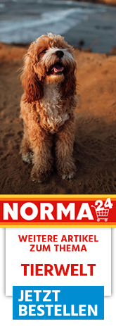 Weitere Artikel zum Thema - Jetzt Bestellen auf Norma24.de
