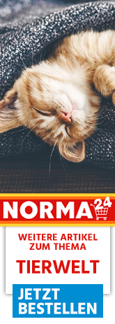 Weitere Artikel zum Thema - Jetzt Bestellen auf Norma24.de