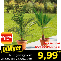 Nur gültig vom 24.06. bis 28.06.2026 und nur mit der NORMA Pluss App billiger: 9,99