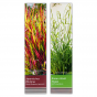 Produktbild-Variante 1