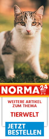 Weitere Artikel zum Thema - Jetzt Bestellen auf Norma24.de