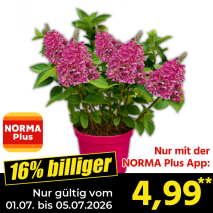 Nur gültig vom 01.07. bis 05.07.2026 und nur mit der NORMA Pluss App 16% billiger: 4,99