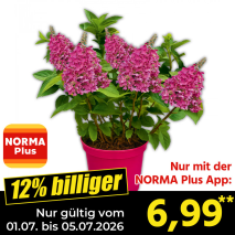 Nur gültig vom 01.07. bis 05.07.2026 und nur mit der NORMA Pluss App 12% billiger: 6,99