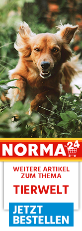 Weitere Artikel zum Thema - Jetzt Bestellen auf Norma24.de