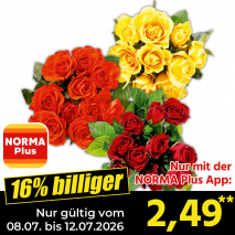 Nur gültig vom 08.07. bis 12.07.2026 und nur mit der NORMA Pluss App 16% billiger: 2,49