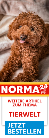 Weitere Artikel zum Thema - Jetzt Bestellen auf Norma24.de