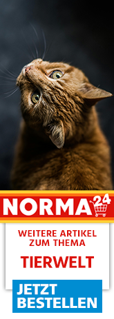 Weitere Artikel zum Thema - Jetzt Bestellen auf Norma24.de
