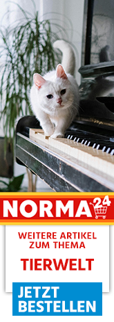 Weitere Artikel zum Thema - Jetzt Bestellen auf Norma24.de