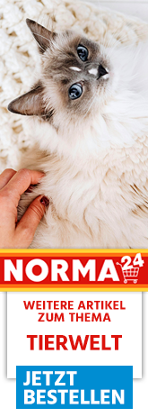 Weitere Artikel zum Thema - Jetzt Bestellen auf Norma24.de