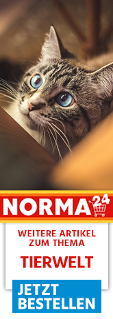 Weitere Artikel zum Thema - Jetzt Bestellen auf Norma24.de
