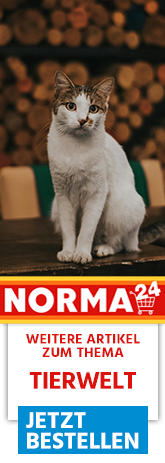 Weitere Artikel zum Thema - Jetzt Bestellen auf Norma24.de