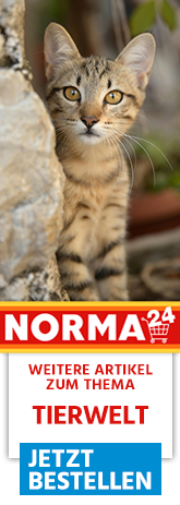 Weitere Artikel zum Thema - Jetzt Bestellen auf Norma24.de